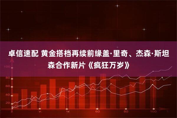 卓信速配 黄金搭档再续前缘盖·里奇、杰森·斯坦森合作新片《疯狂万岁》