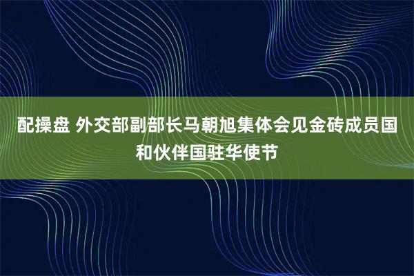 配操盘 外交部副部长马朝旭集体会见金砖成员国和伙伴国驻华使节