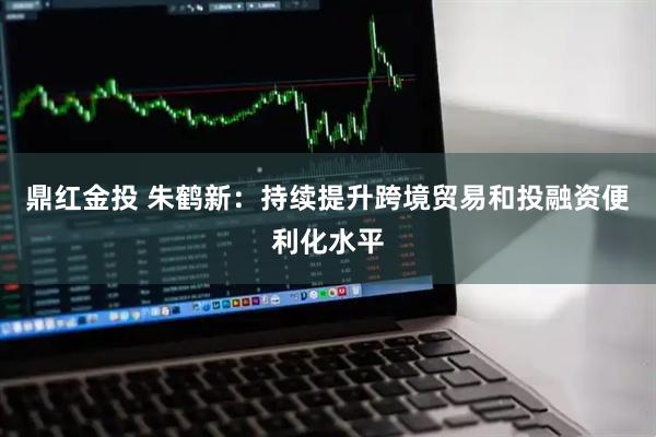 鼎红金投 朱鹤新：持续提升跨境贸易和投融资便利化水平