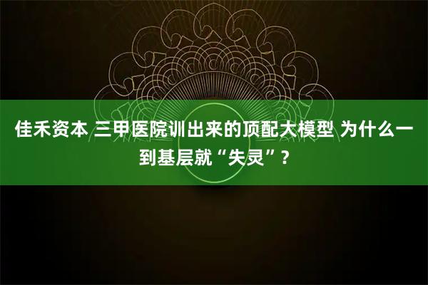佳禾资本 三甲医院训出来的顶配大模型 为什么一到基层就“失灵”？